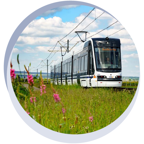 Straßenbahn an einer grünen Wiese